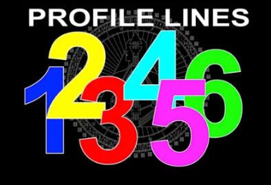 Looking at Lines of Profile ($50)
