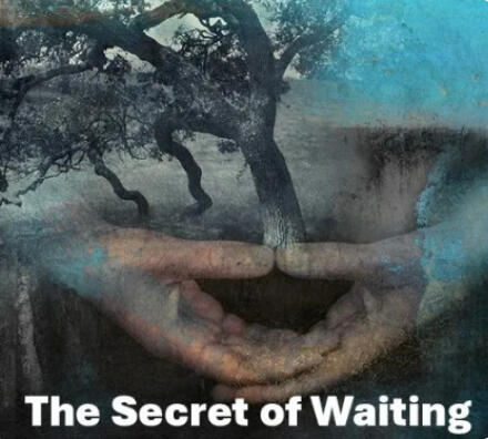 The Secret of Waiting Video ($25)