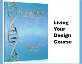 Living Your Design: Audit ($50)