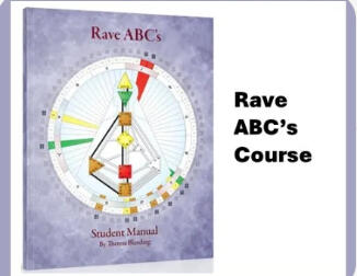 Rave ABC's Course: Audit ($75)